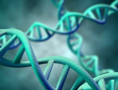 Τεχνική επεξεργασίας DNA δίνει την δυνατότητα να εξαλειφθούν θανατηφόρες κληρονομικές ασθένειες